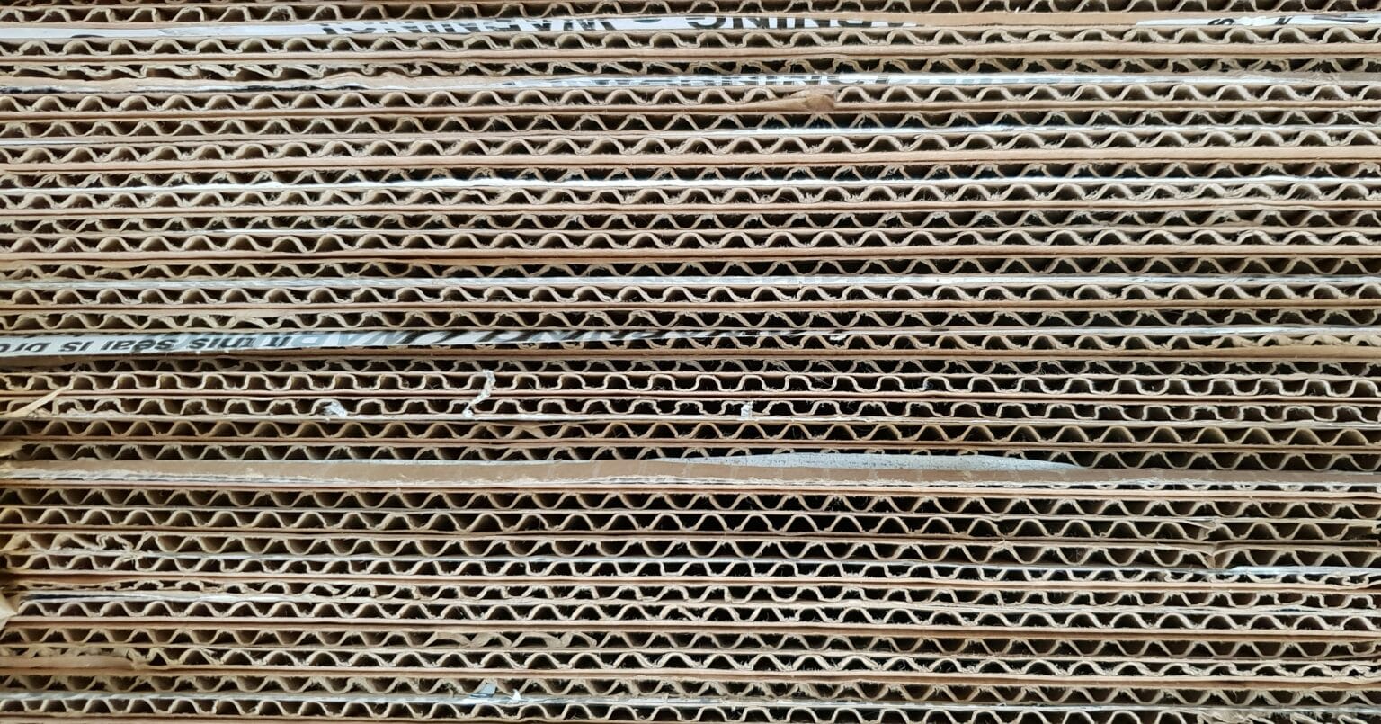 Why You Should Avoid Adding Cardboard to Your Compost: Harmful Effects ...